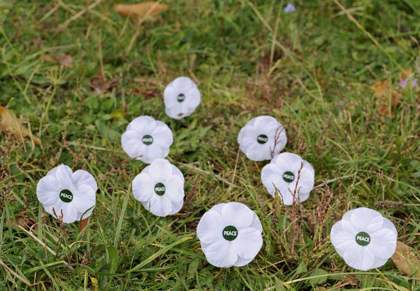 The word Peace is on these white poppies laid on green grass