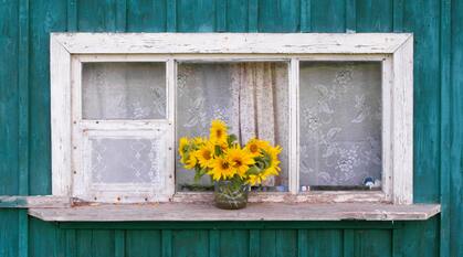 A vase of sunflowers outside on a window ledge