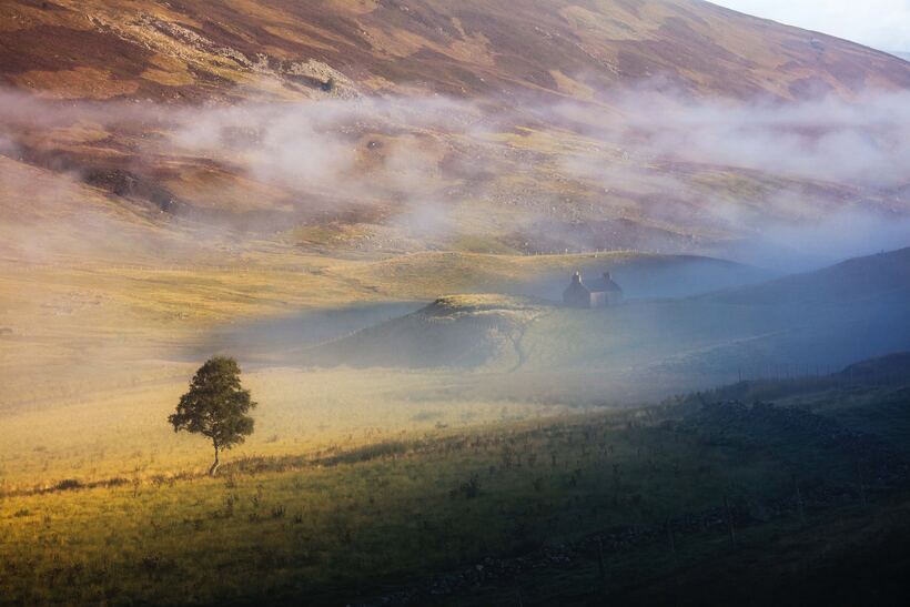 an empty remote cottage sits in the morning fog with a lone tree nearby