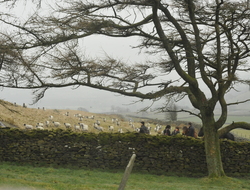 image of distant figures walking through a field