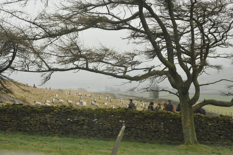 image of distant figures walking through a field