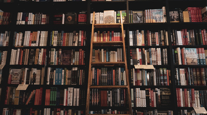 tall bookcase full of books with a ladder leaning against the bookshelves