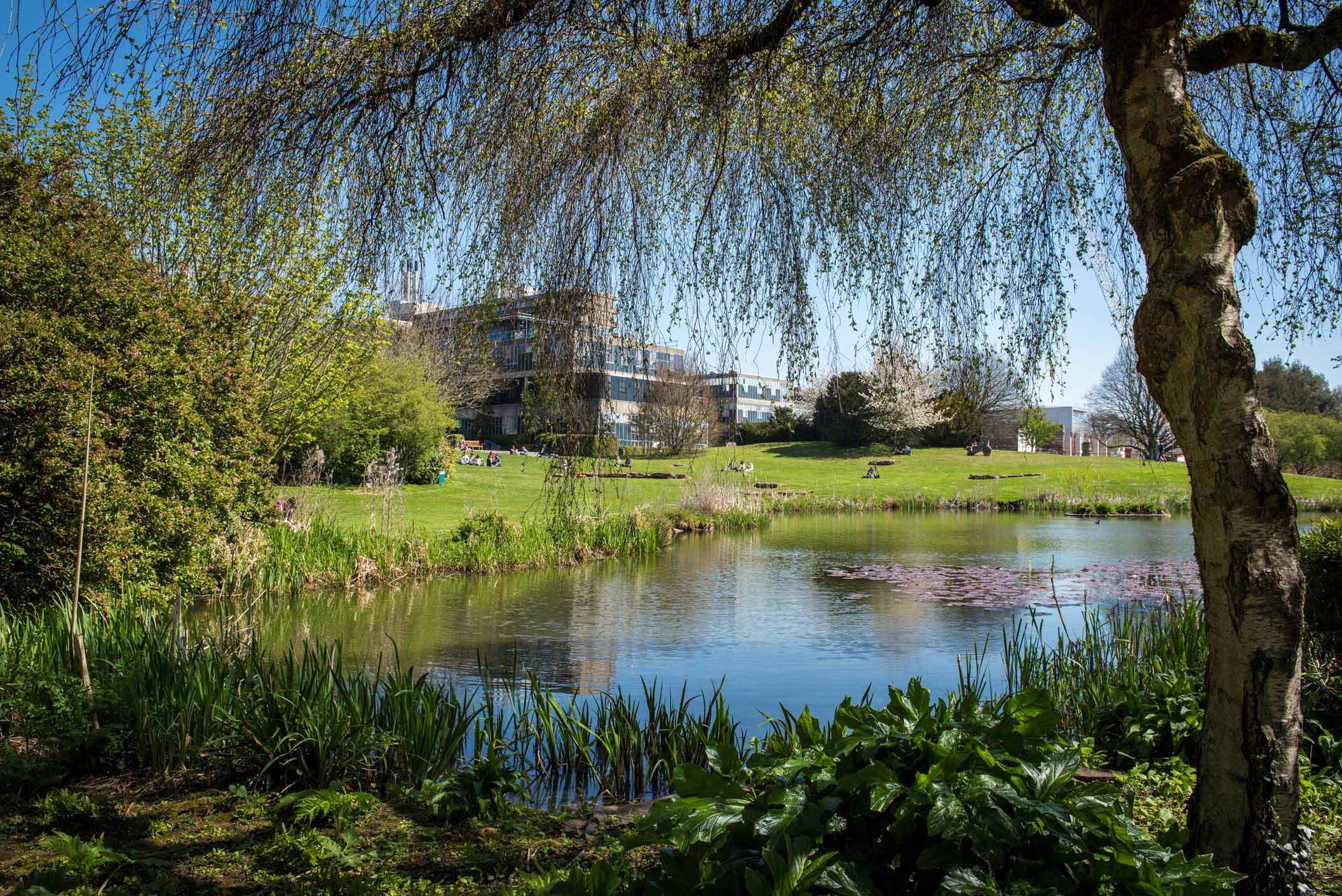 a sunny lake and willow tree dipping into a lake. on the far bank people are sitting, behind them is a concrete building