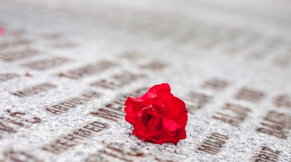 close up of red flower resting on white Srebrenica memorial stone