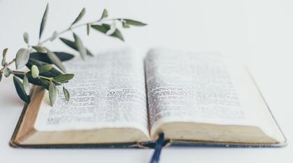 An open Bible with an olive branch