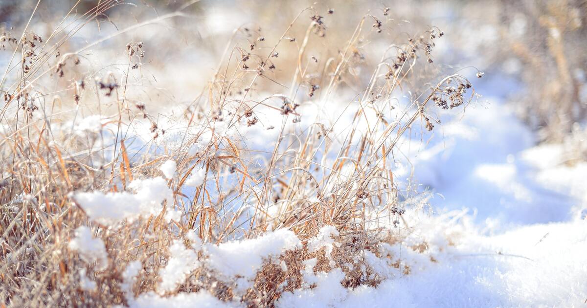 What does Quaker community look like in 2023? Quakers in Britain