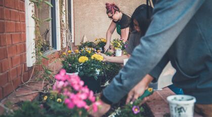 People planting flowers in a community garden