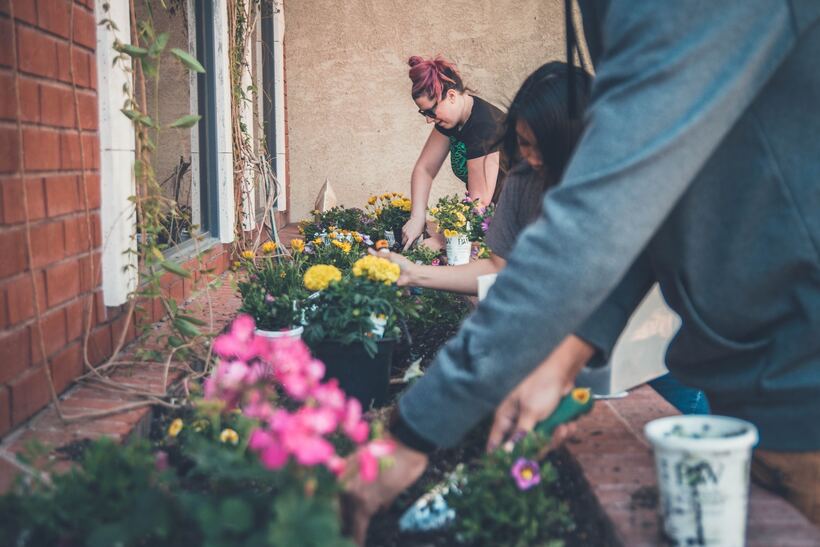 Our security cannot be isolated from the security of others – we are interdependent. Image: <a href="https://unsplash.com/@neonbrand?utm_source=unsplash&utm_medium=referral&utm_content=creditCopyText">Kenny Eliason</a> on <a href="https://unsplash.com/photos/qo6_mo9dsYg?utm_source=unsplash&utm_medium=referral&utm_content=creditCopyText">Unsplash</a>.