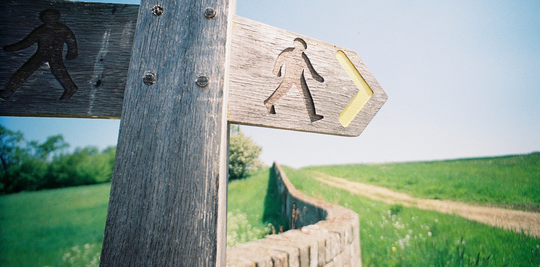 A wooden signpost pointing to a footpath through a field