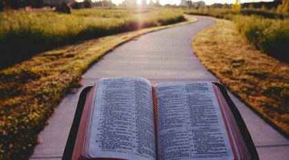 In the golden light of sunrise, a person out of shot holds up an open Bible in front of a winding path