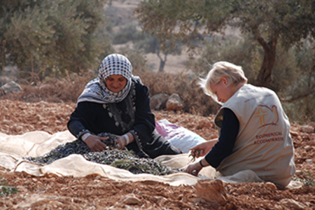 Donate to support EAPPI UK & Ireland