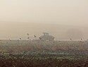 Love around the table: food security and climate justice