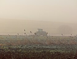 Love around the table: food security and climate justice