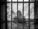 Quakers in Britain: News and events | Quakers in Britain